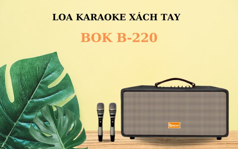 loa karaoke xach tay b220