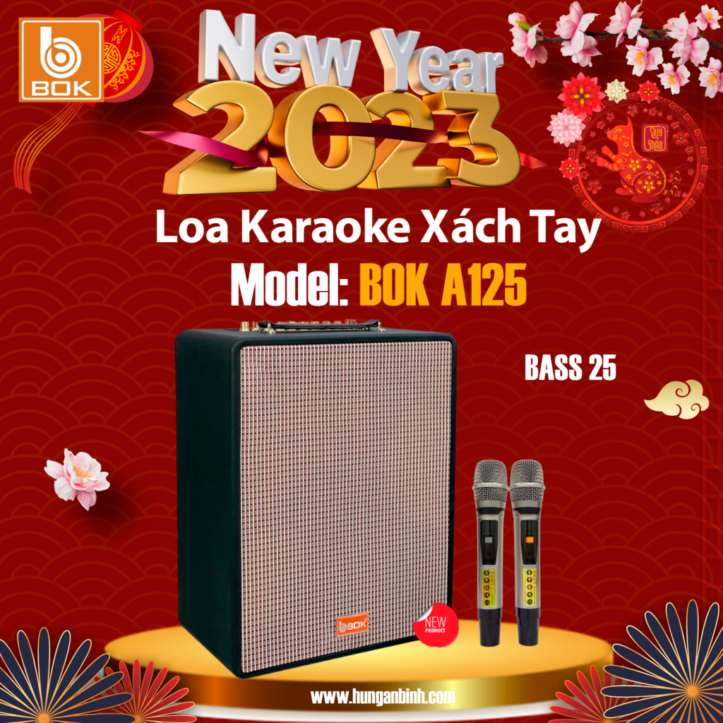 Loa karaoke xách tay BOK A125